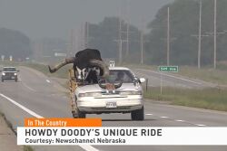 Howdy Doody - Watusi Bull