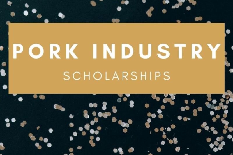 Scholarships Canva.com
