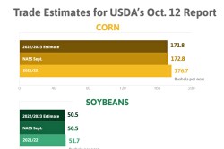 Oct. 12 USDA Report Estimates