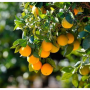 6B2F1560-AC03-4DA2-AE5241CB34441A40.png