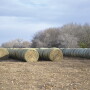 bale_rows-credit-John-Holman.jpg