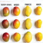 Tommy atkins, haden, francis and honey (also known as ataulfo) mangoes are all in peak supply during the month of May, says the National Mango Board.