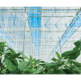 Nature Fresh Farms has installed energy screens that help keep cold air out and warm air inside its more than 200 acres of high-tech greenhouses where the company grows organic and conventional peppers, cucumbers and tomatoes, says Sarah Krzysik, public relations coordinator.