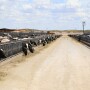 High Plains Dairy Conference