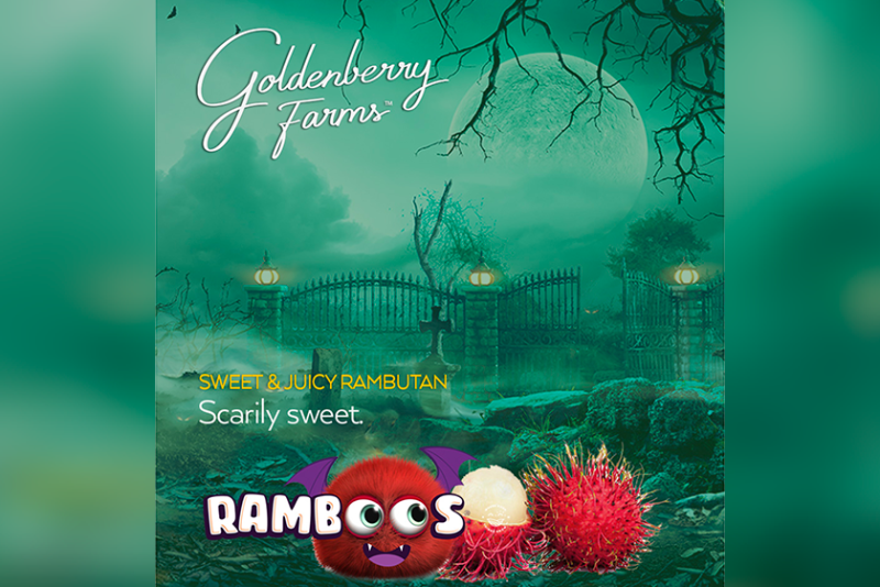 Goldenberry Farms Halloween-themed “Scarily Sweet” merchandise graphic