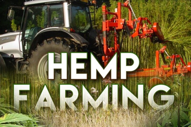 hemp farming