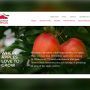Michigan Apple Committee's redesigned website