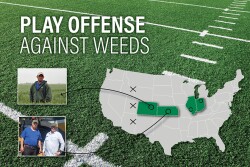 Weed Management 