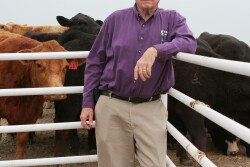 Dr. Bruce Wren