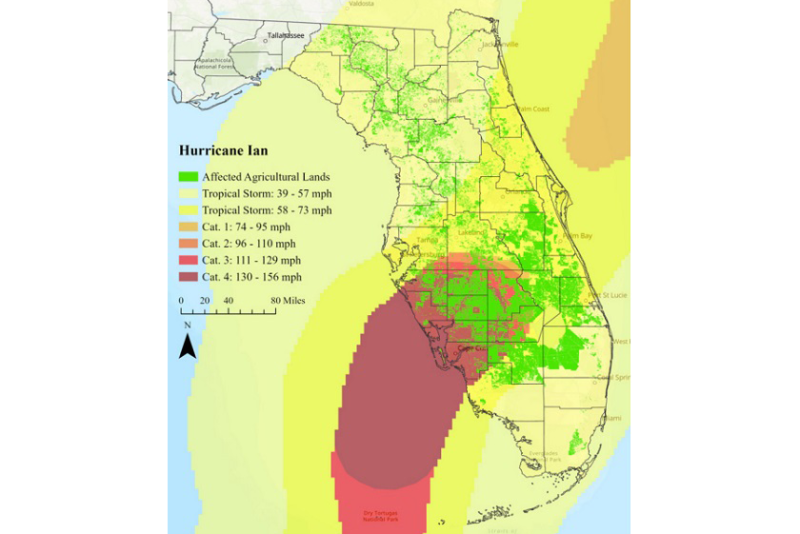 Hurricane Ian