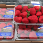 California Giant Berry Farms wrapped up its winter strawberry crops in Oxnard and Santa Maria in late April and is shipping out of Watsonville, where volume is expected to increase significantly throughout May, says Kyla Oberman, director of marketing.
