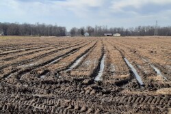 Deep ruts will take years to fix, but you can get started on the right foot this year.