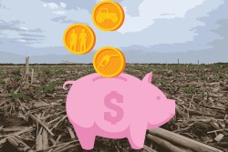 Learn how to save labor, fuel and equipment costs with this conservation practice.