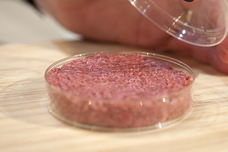 “Laboratory-grown meat will become more prevalent in the future, and this bill will proactively prevent these ‘franken-meat’ alternatives from being labeled as meat,” Gallion said at Thursday’s bill hearing.

