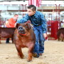 Boy showing Duroc pig