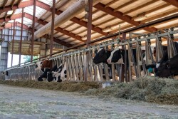 Counties with the most dairies are in Wisconsin and Pennsylvania.