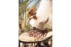 California’s medjool date crop this year was exceptional, said David Baxter, brand manager for the Bard Valley Date Growers Association, which markets the Natural Delights brand. “Our crop this year was one of our best harvests in the past 10 years in terms of quality and volume of the fruit,” he says. “The quality was super high.”