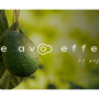 52B87437-C995-4F60-9722957D035329B8.png