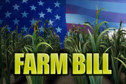 A freshman Republican sees farm bill failure as setback for GOP.