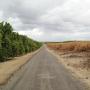 California citrus groves with and without water