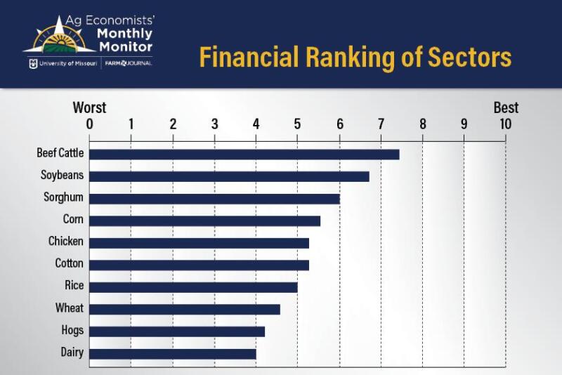 sectors .jpeg