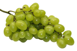 A bunch of green grapes