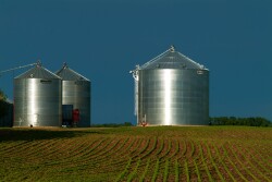 Major global trade changes for 2018/19 include higher projected corn exports for Brazil, Argentina, the EU, and Ukraine with a partially offsetting reduction for the United States. 