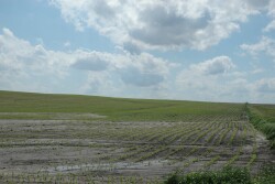 Here are four steps to make smart coverage decisions