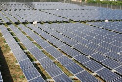 Limoneira Co. has become adept at harnessing solar power to reduce the cost of the electricity needed to power its operations. The company
made its first large-scale investment of $8 million in solar in 2006 and 2007.