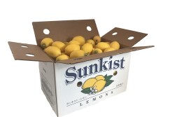 Sunkist lemons