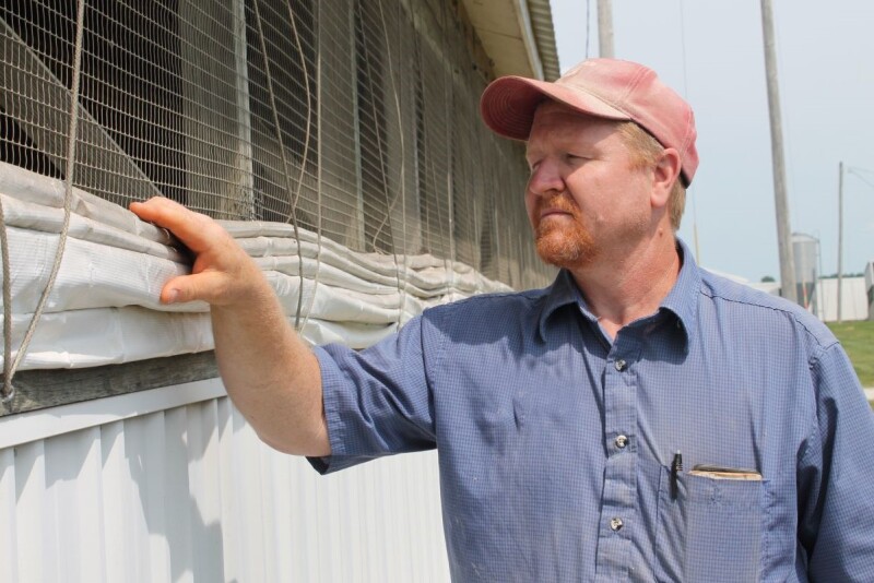 Pig Farmer Checking Barn