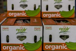 organics unlimited