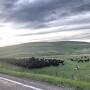 Bair Ranches