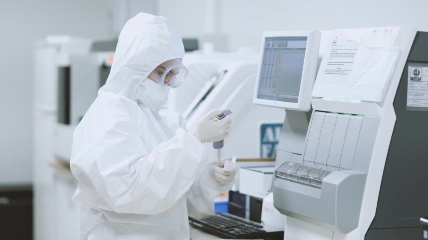 More Funding Going to Tackle HPAI H5N1, Egg Imports are Now Underway to ...