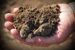 If soil has good structure for its type, it will have macropores, which contain water and oxygen. As soils get healthier, structure improves downward through the profile, creating the opportunity for healthier and more resilient crops.