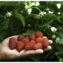 1504344E-4367-48B7-A6F7E8E59F37B453.png