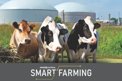 Dairy Digester Smart Farming