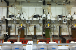 Thermodynamics of Rumen VFA Studied