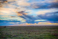 Zeman Ranch