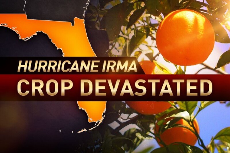 Hurricane Irma