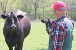 Veterinarian_250_April19.jpg