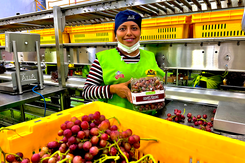 Divine Flavor grapes
