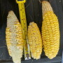 2022 Crop Tour Corn Sample
