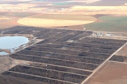 FSRA seeks to close large feedlots.