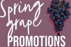 Spring grapes.jpg