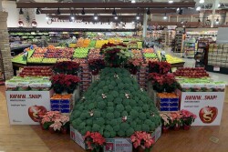 supermarket broccoli tree