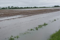 FloodedFields-springplanting