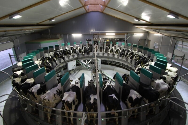 DairyProQ_Germany