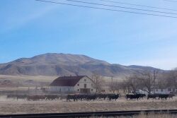 Maggie_Creek