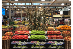 sage organic display